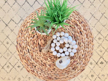 Load image into Gallery viewer, The Gilded Shell - Coastline - The Boho - 18k Gold Gilded Oyster Shell-Lifestyle-5