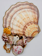 Load image into Gallery viewer, Lion&#39;s Paw Trinket Dish