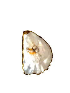 Oyster Shell Trinket Dish